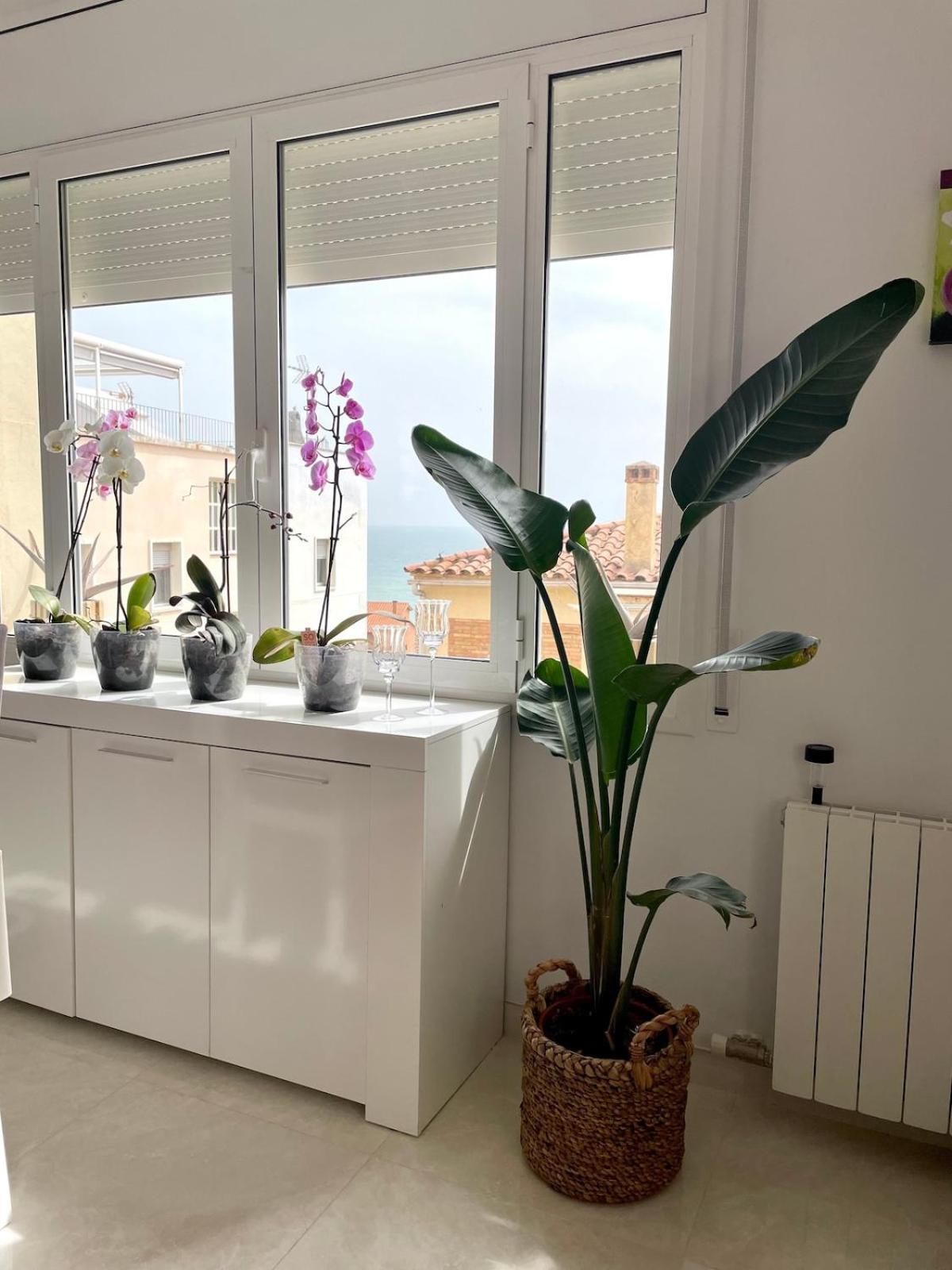 Appartement Cute&confortable